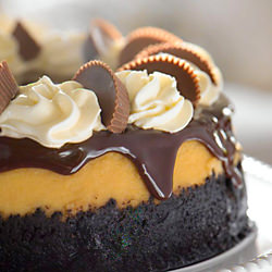 Sweet Indulgences