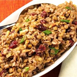 Thanksgiving Lentils w/ Wild Rice