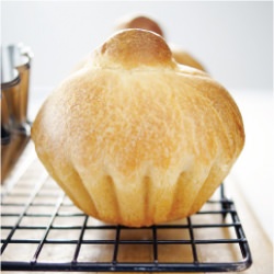 Basic Brioche