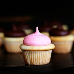 Vanilla Cupcakes