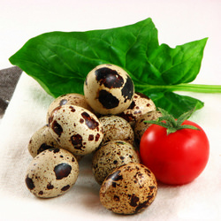 Quail Eggs