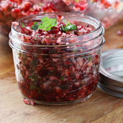 Cranberry Salsa