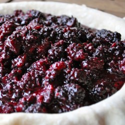 Northwest Blackberry Pie