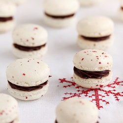 Pink Peppercorn Macarons