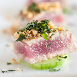 Oriental tuna