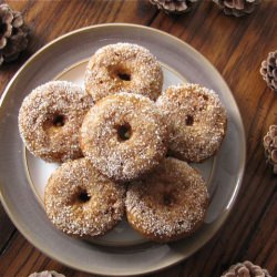 Mini Sugared Gingerbread Doughnuts