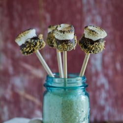 Smores on a Stick