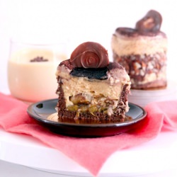 Ailette Entremet