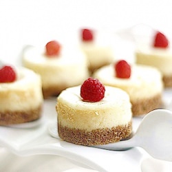 Mini Ginger Cheesecakes
