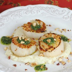 Seared Scallops with Two Sauces