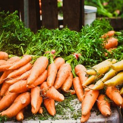 Carrot Risotto