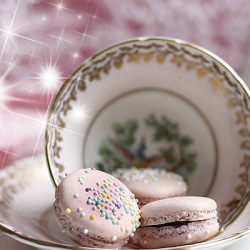 Macarons Sublimes