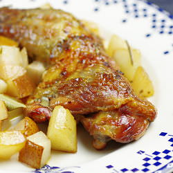 Guinea fowl