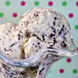 Fresh Mint Chocolate Chip Ice Cream
