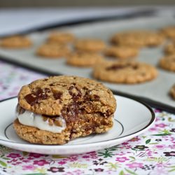 Chocolate Chip Cookie Sandwich