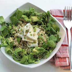Barley, Avocado & Brie Cheese