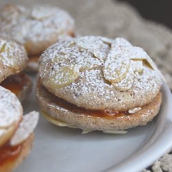 Ladurée Abricotines
