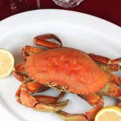 Dungeness Crab Time