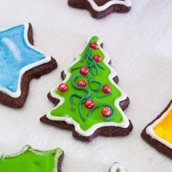 Cocoa Ginger Cookies