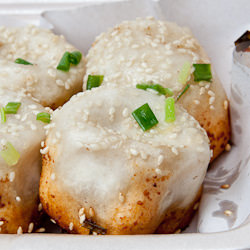 Yang’s Fry Dumpling