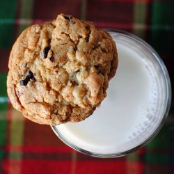 Chocolate Chip Cookie