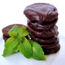 Homemade Thin Mints