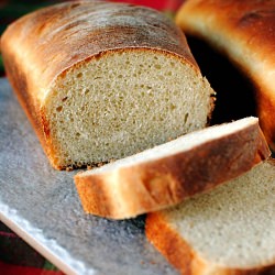 White Bread