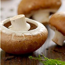 5 Stuffed Mushroom Recipes