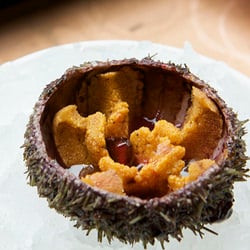 Sea Urchin at The John Dory