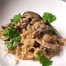 Mixed Mushroom Risotto