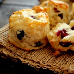 Five Cheese and Cranberry Scones
