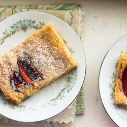 First Place Winner German Plum Cake