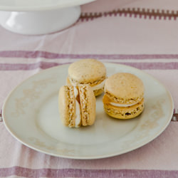 Lemon Pepper Macarons