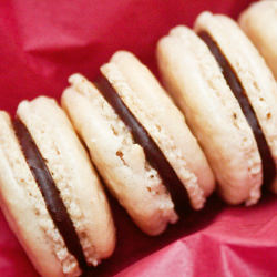 Macarons