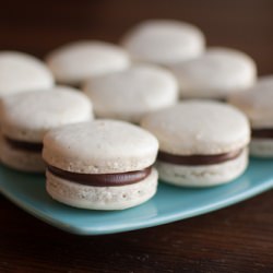 Vanilla Bean Macarons