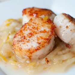 Seared Scallops