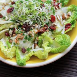 Celeriac, Radish Sprouts & Lettuce