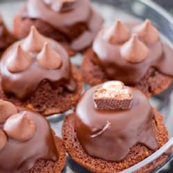 Mini Chocolate Hazelnut Cakes
