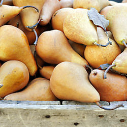 Winter Farmer’s Market