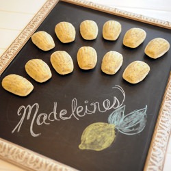 Lemon Poppy Madeleines