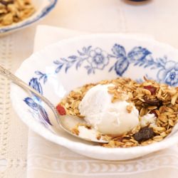Honey Vanilla Frozen Yogurt