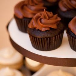Double Chocolate Cupcakes