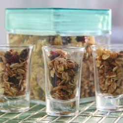 Healthy WW Granola