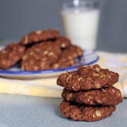 Vegan Oatmeal Cookies