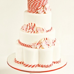 A Wedding Cake with a Wintry Twist