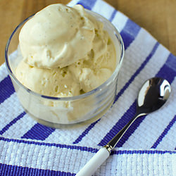 Vanilla Bean Ice Cream