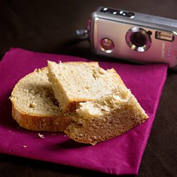 Understanding Camera Types