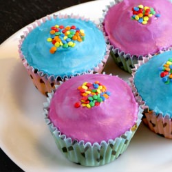 Vanilla Custard Cupcakes