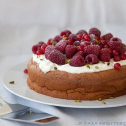 Goseberries & Coconut Ice Cake