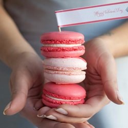 French Macarons